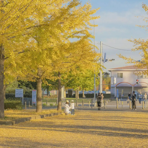 裸体比基尼美女虑待尿口
